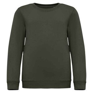 Native Spirit Childrens/Kids Sweatshirt / Natural Khaki